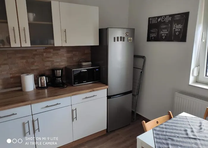 Alex Apartman